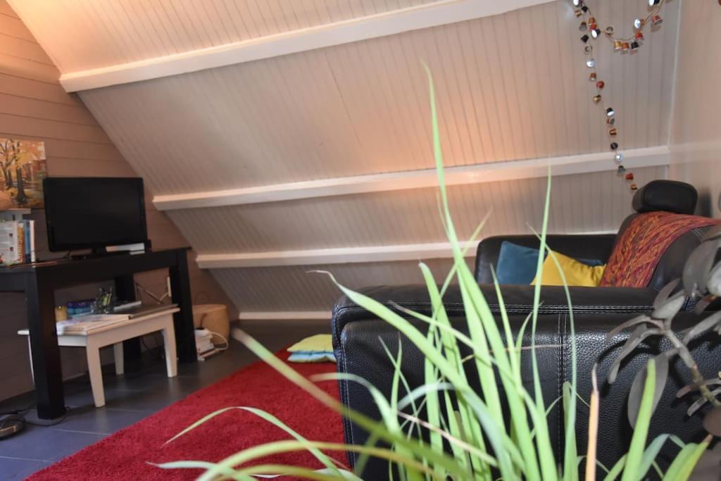 Le Strelitzia 1 Apartment Cilaos Luaran gambar